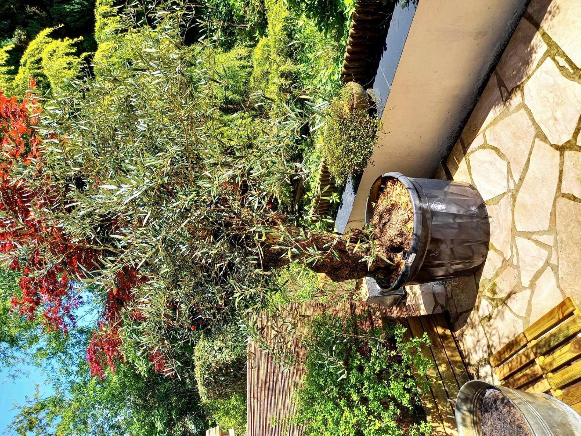 L'Olivier Apartment บูโลญ-ซูร์-แมร์ ภายนอก รูปภาพ